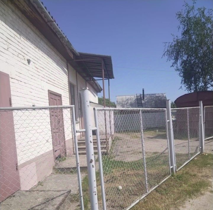 офис г Великие Луки ул. Матвея Кузьмина, 38 фото 2