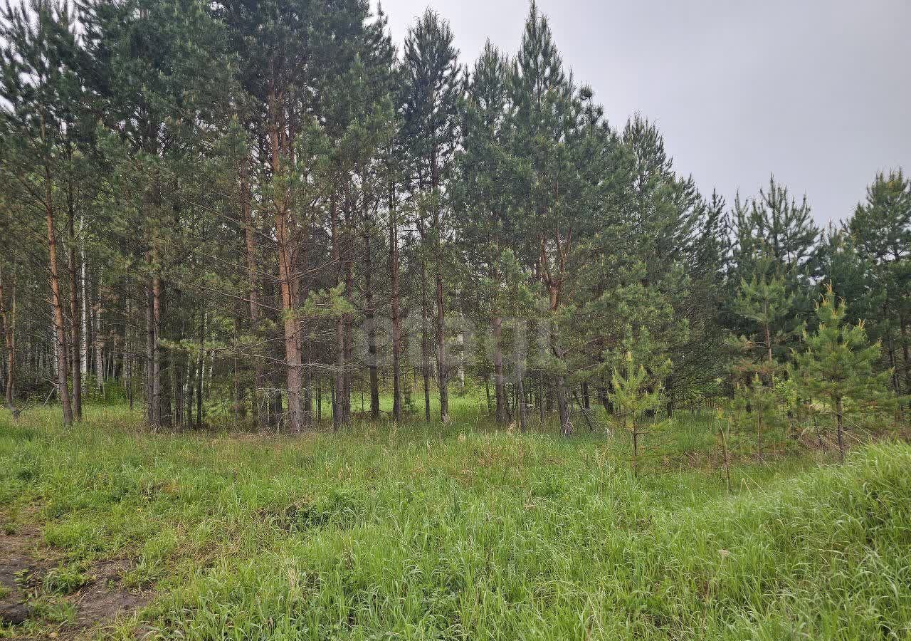 земля г Дивногорск с Овсянка снт Содружество 189 фото 7