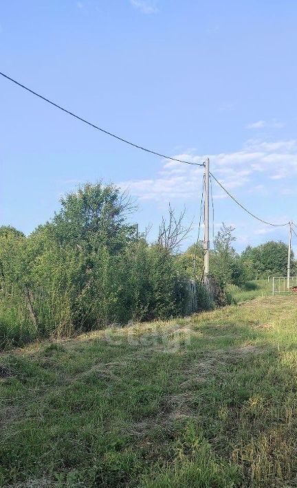 земля г Саранск р-н Ленинский снт Зеленый Друг фото 3