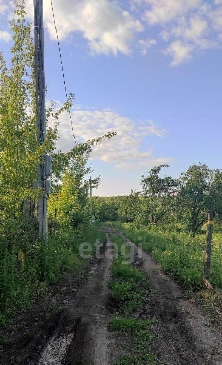 земля г Саранск р-н Ленинский снт Зеленый Друг фото 3