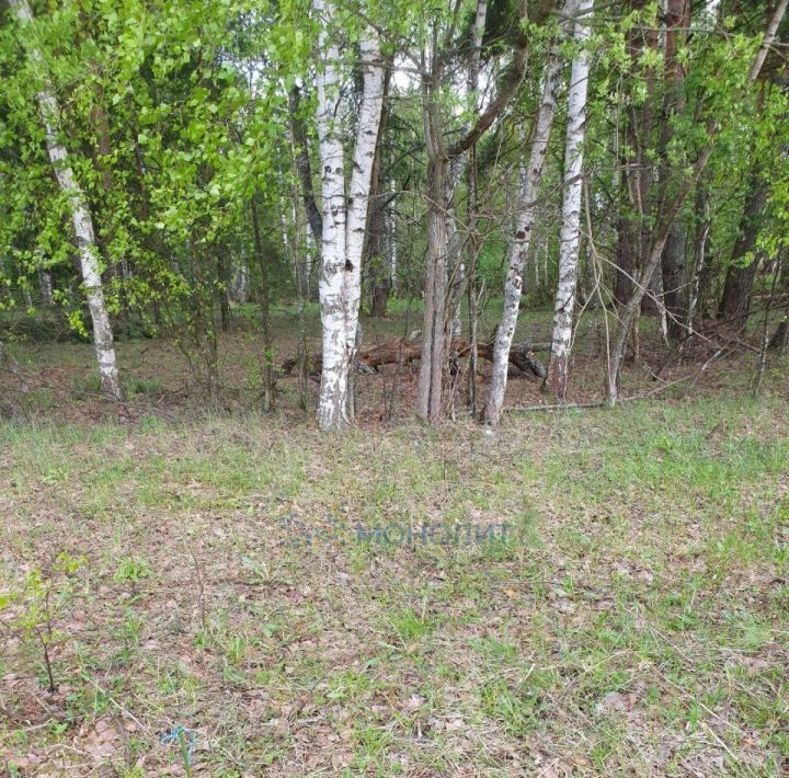 земля г Бор с Останкино (Останкинский с/с) фото 2