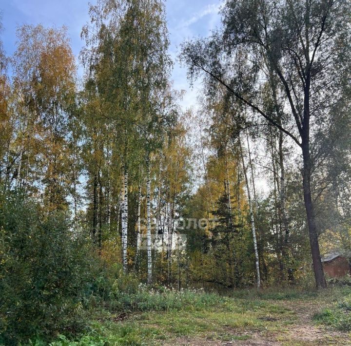 земля городской округ Богородский г Ногинск снт Овощевод ул Центральная Железнодорожная фото 6