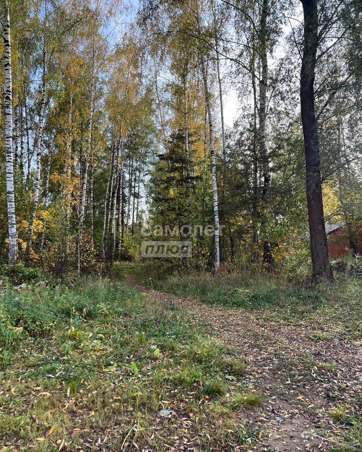 земля городской округ Богородский г Ногинск снт Овощевод ул Центральная 24 км, Старая Купавна, Носовихинское шоссе фото 3