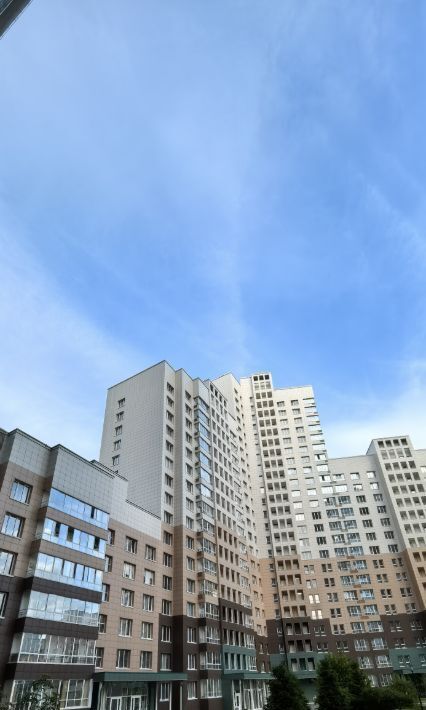 квартира г Новосибирск Маршала Покрышкина ул Семьи Шамшиных 91 фото 39