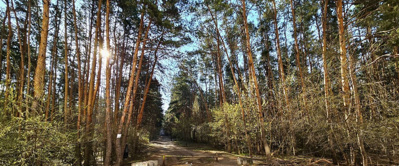 квартира г Воронеж р-н Коминтерновский ул Антонова-Овсеенко 33 фото 21