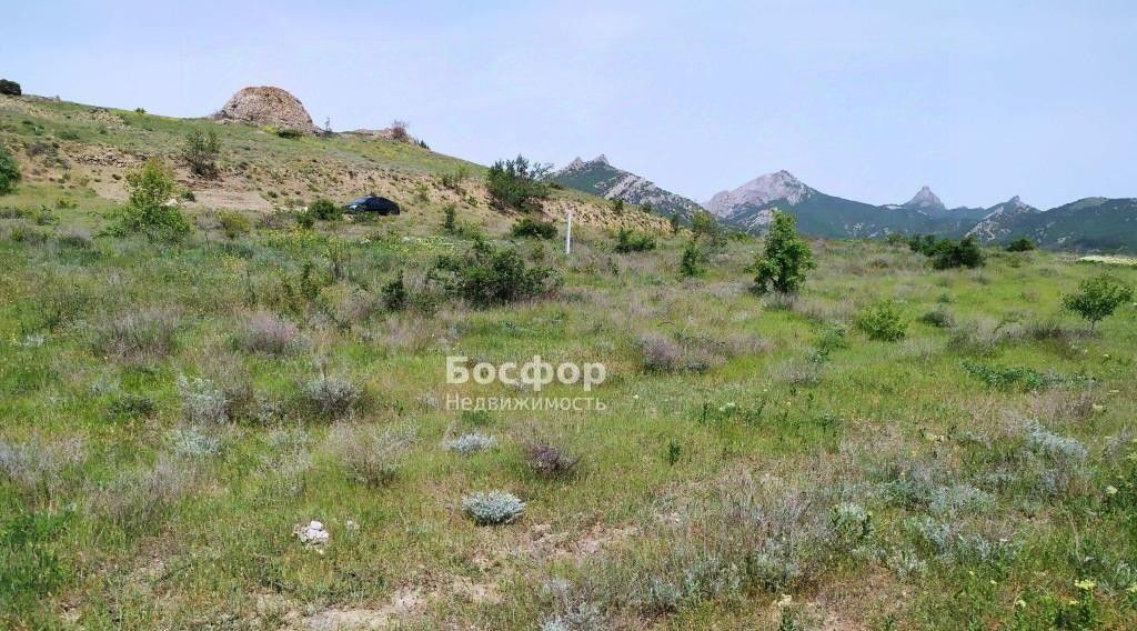 земля г Феодосия пгт Курортное ул Науки фото 1