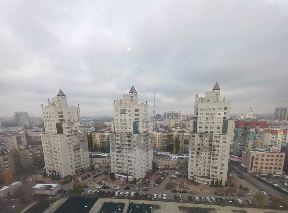 квартира г Воронеж р-н Ленинский ул Кропоткина 13а фото 19