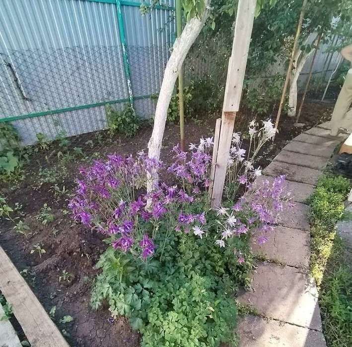 дом г Самара Спортивная ул Потапова фото 3