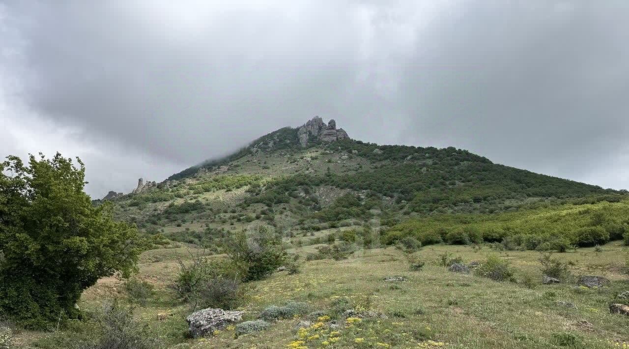 земля г Алушта с Лучистое фото 7