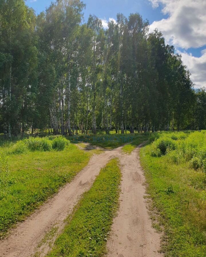 земля г Бор с Останкино (Останкинский с/с) фото 1