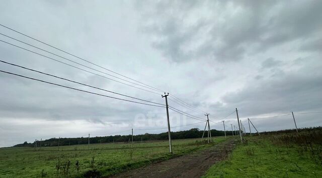 ст-ца Натухаевская фото