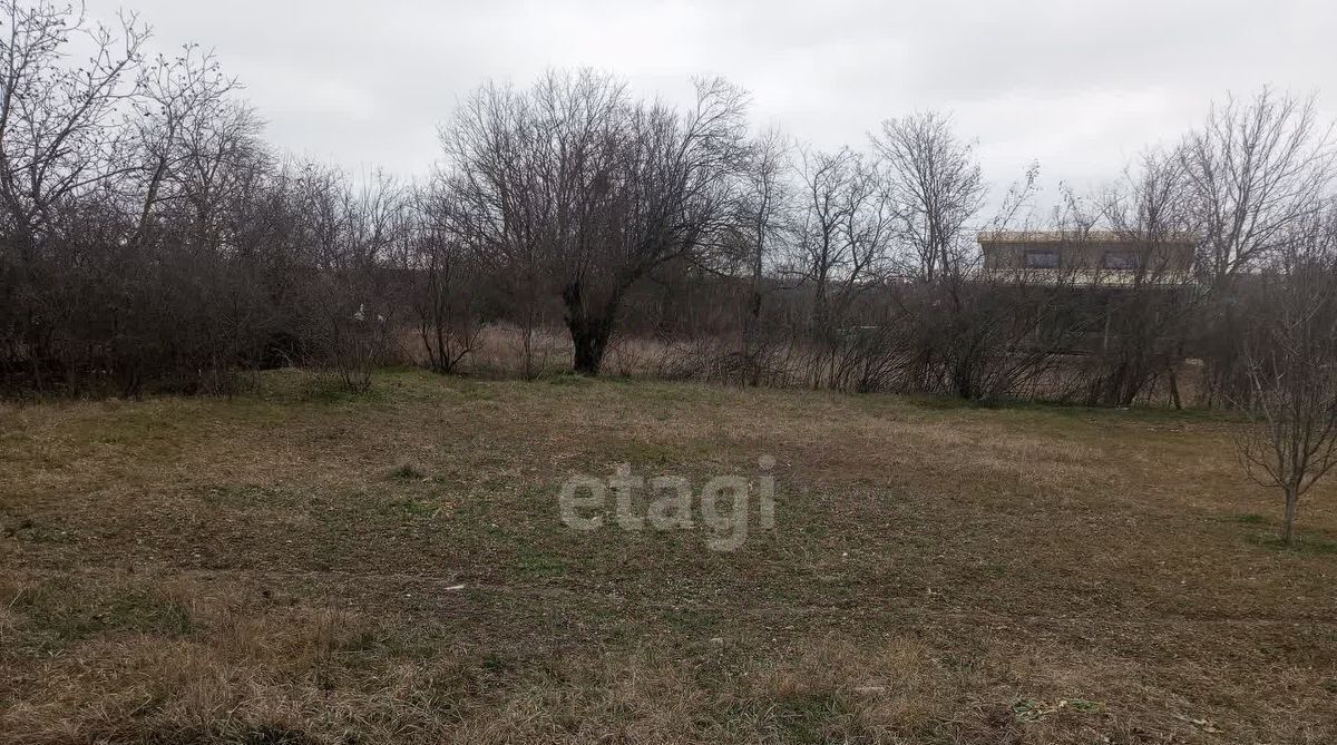 земля г Новороссийск ст-ца Раевская ул Маяковского фото 1