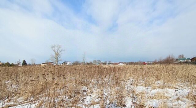 с Лысцево Коломна городской округ фото