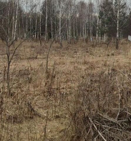 д Тульчино ул Высокая фото