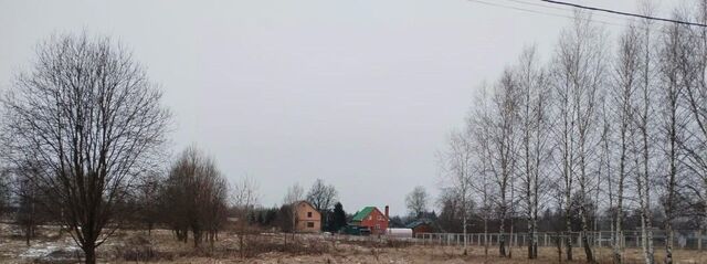 д Новинки фото