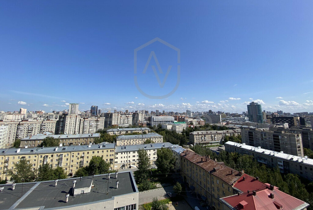 квартира г Новосибирск метро Площадь Гарина-Михайловского р-н Железнодорожный ул Дмитрия Шамшурина 29 фото 8