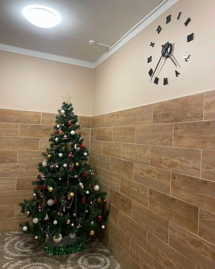 квартира г Одинцово ул Триумфальная 2 Одинцовский г. о., Одинцово, Внуково фото 21