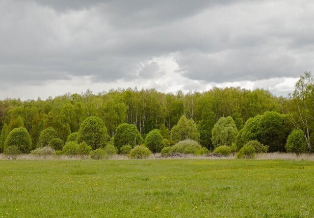ул Дорожная Первомайский, Каширское шоссе, 84 км, г. о. Коломна фото