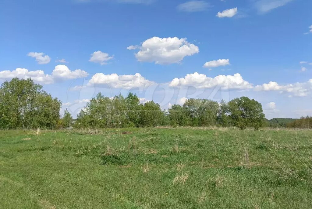 земля г Тобольск пер Вертолетный фото 3