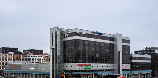 метро Петроградская ул Академика Павлова 5в округ Аптекарский остров фото
