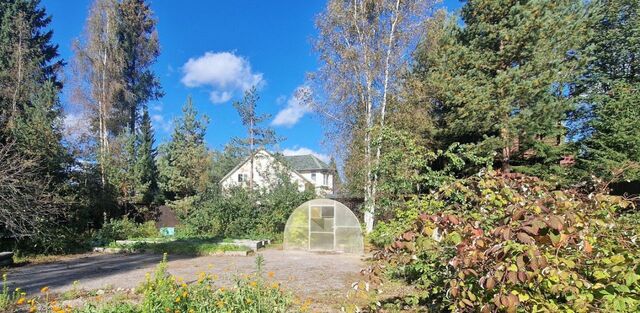 снт Серебряный Ручей Сертоловское городское поселение, Центральная линия фото