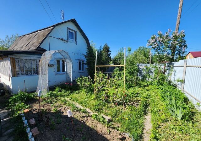 69 км, СНТ Химик-4, Ярославское шоссе фото