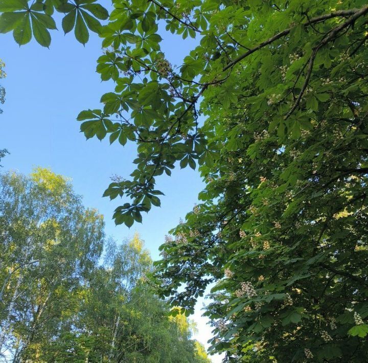 квартира г Казань р-н Московский ул Восход 22 Казань, Северный Вокзал фото 36