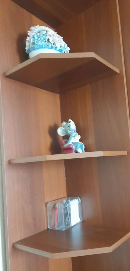 квартира р-н Всеволожский г Мурино б-р Воронцовский 17 Девяткино, Муринское городское поселение фото 7
