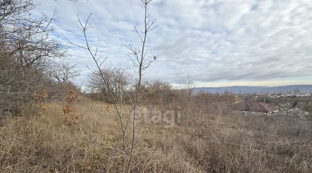 земля г Новороссийск ст-ца Раевская фото 4