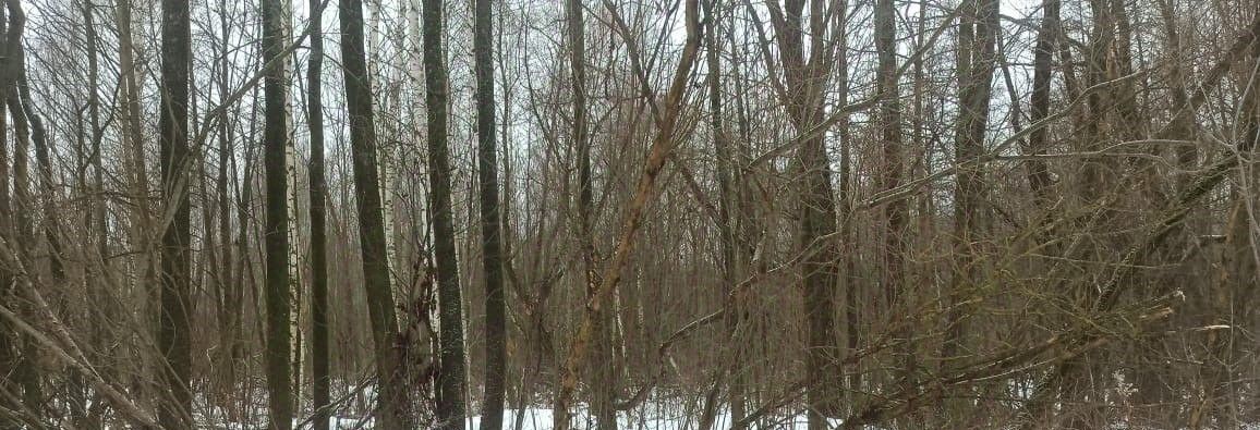 земля г Шатура мкр Керва фото 2