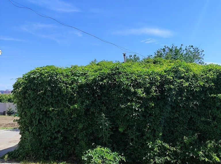 комната г Волгоград р-н Дзержинский ул Знаменская 58а фото 21