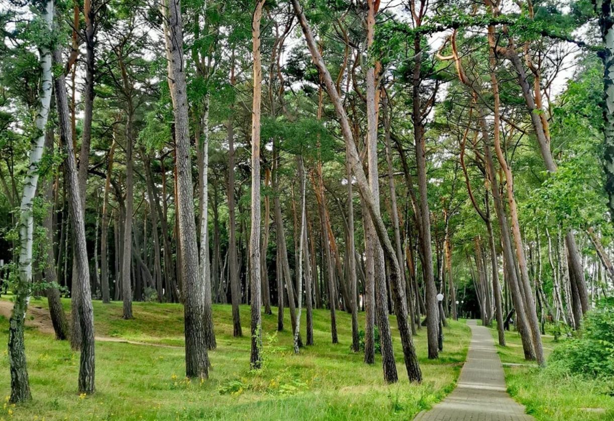 квартира г Пионерский ул Рензаева 4 ЖК Парад фото 4