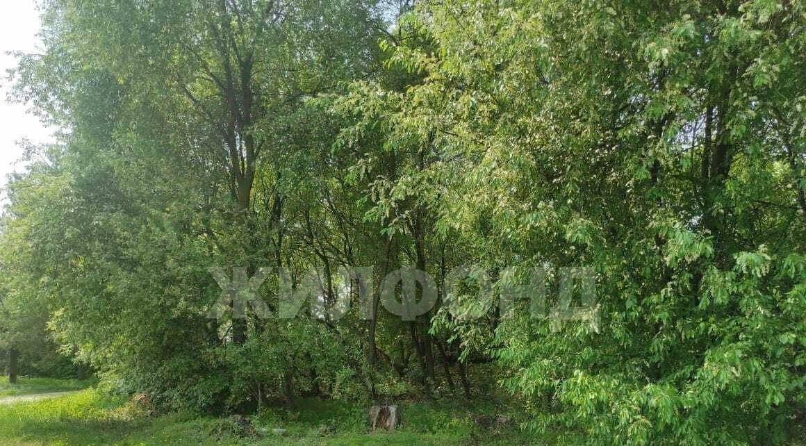 земля г Благовещенск п Зазейский фото 2