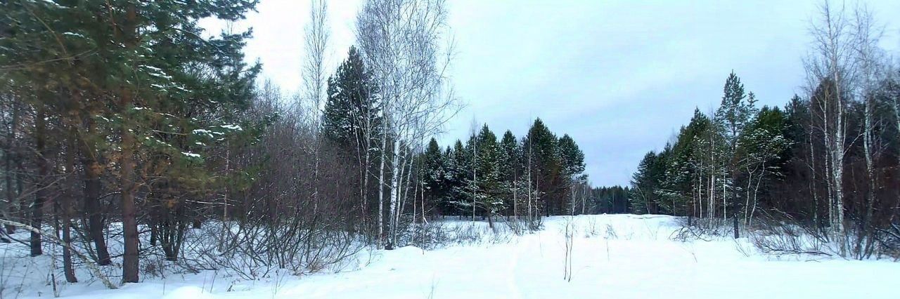земля г Верхняя Пышма с Балтым ул Первомайская фото 3