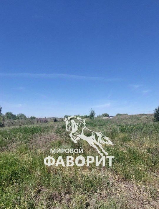 земля г Орск р-н Октябрьский ш Гайское фото 5