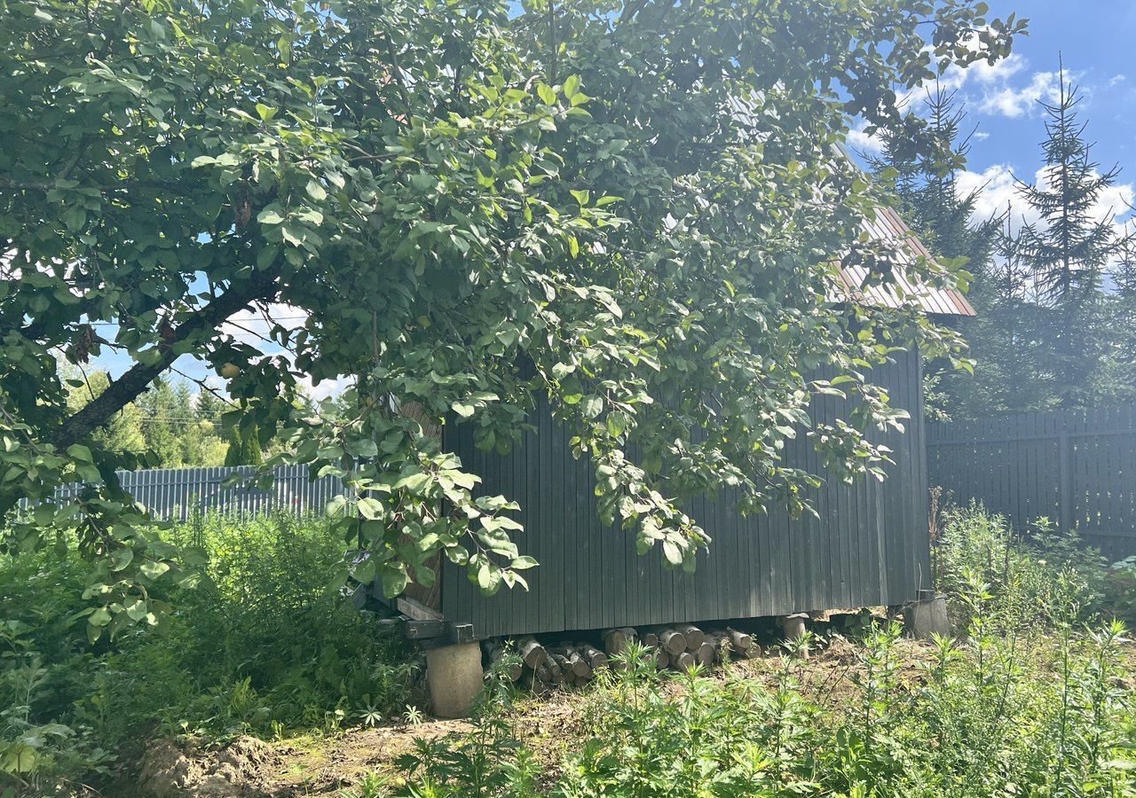 земля городской округ Одинцовский г Звенигород 45 км, садовое товарищество Земля, 66, Минское шоссе фото 8
