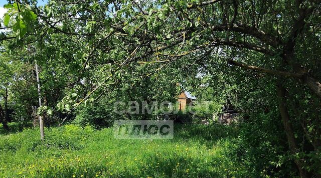 снт Дубрава метро Ольховая 10 фото