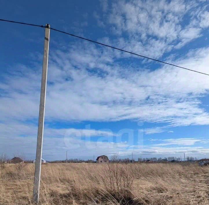 земля г Кострома Соколиное Гнездо кп, 1 фото 2