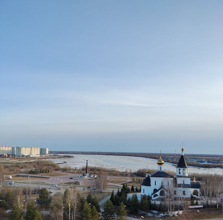 квартира г Нефтеюганск р-н мкр 2 17 фото 16