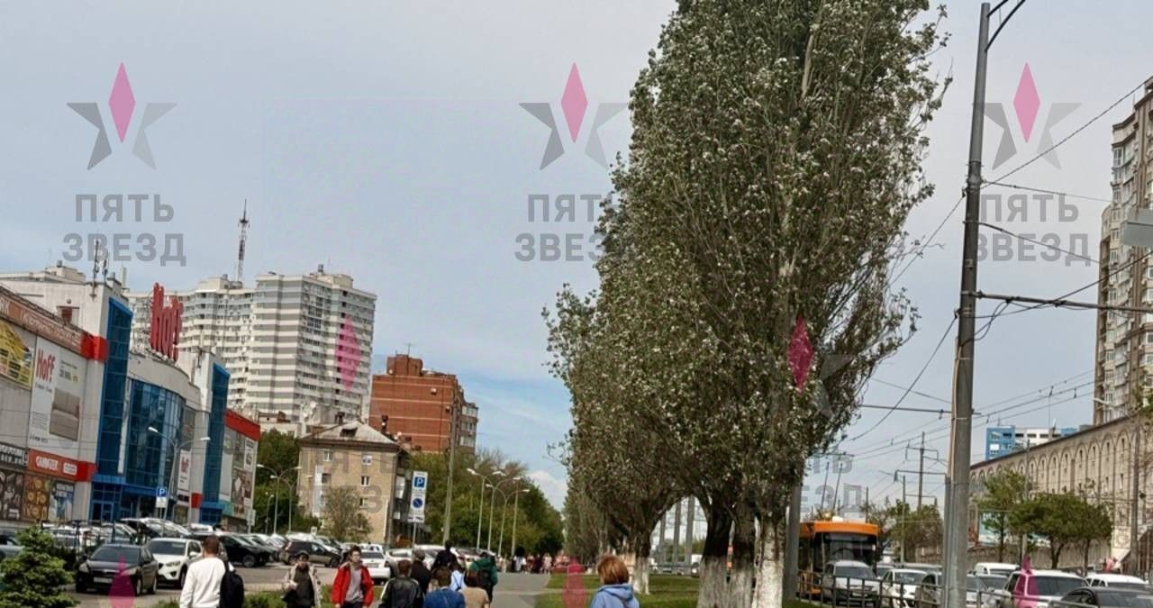 торговое помещение г Самара Гагаринская ш Московское 106 фото 4