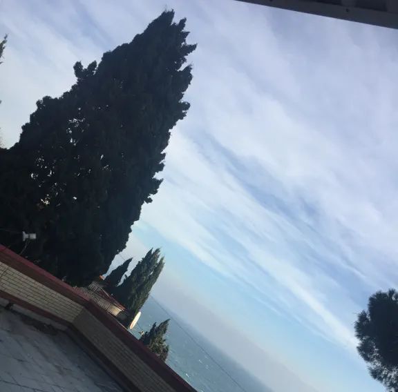 комната г Ялта пгт Кореиз ш Алупкинское 15 фото 8