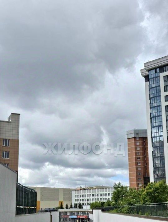 квартира г Новосибирск Маршала Покрышкина ул Некрасова 41 фото 27