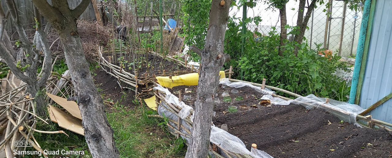 земля г Ульяновск р-н Засвияжский снт Вырыпаевка 249 фото 9