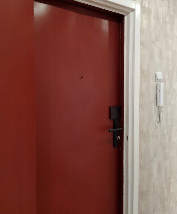 квартира г Воронеж ул 9 Января 262/3 фото 24