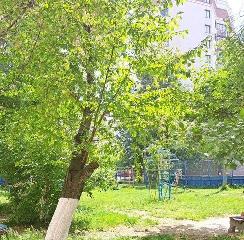 ул Челюскинцев 88 фото