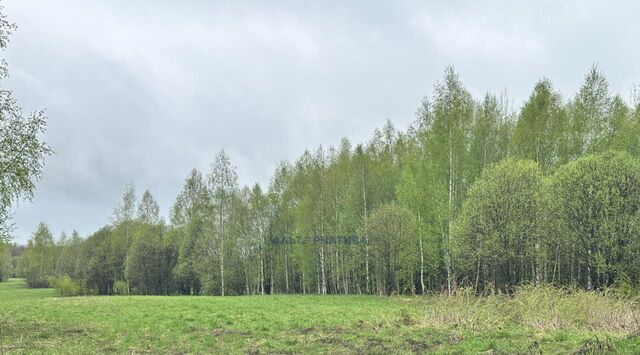 ул Цветочная 11б Переславль-Залесский муниципальный округ фото ул Цветочная 11б Переславль-Залесский муниципальный округ фото