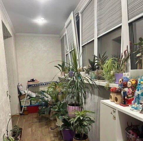 ул Нансена 437/2 фото
