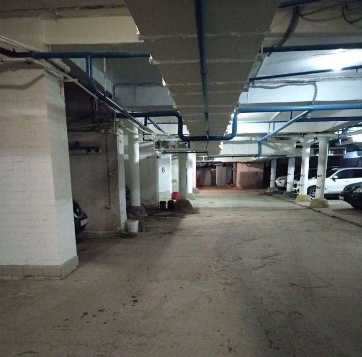 гараж г Нижний Новгород р-н Нижегородский ул Академика И.Н.Блохиной 4/43 фото 4