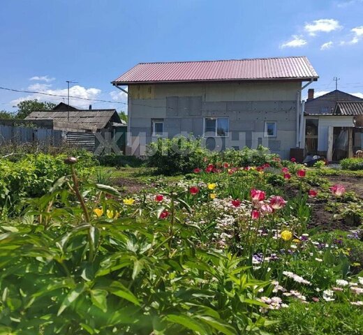 снт Березовая Роща фото