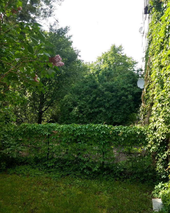 квартира г Калининград р-н Центральный ул Косогорная 2 фото 22
